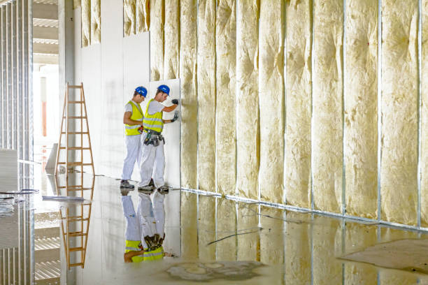 Types of Insulation We Offer in Haworth, NJ